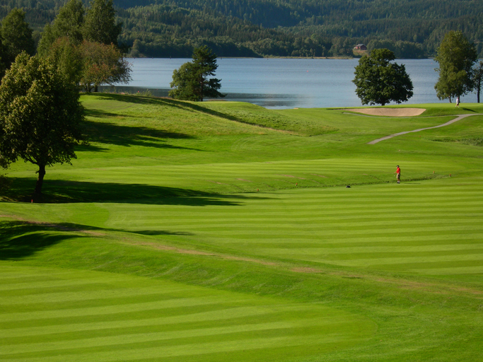 En bedre helse med golf En bedre helse med golf